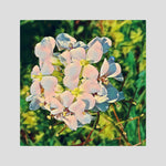 White Blossom | Poly Art