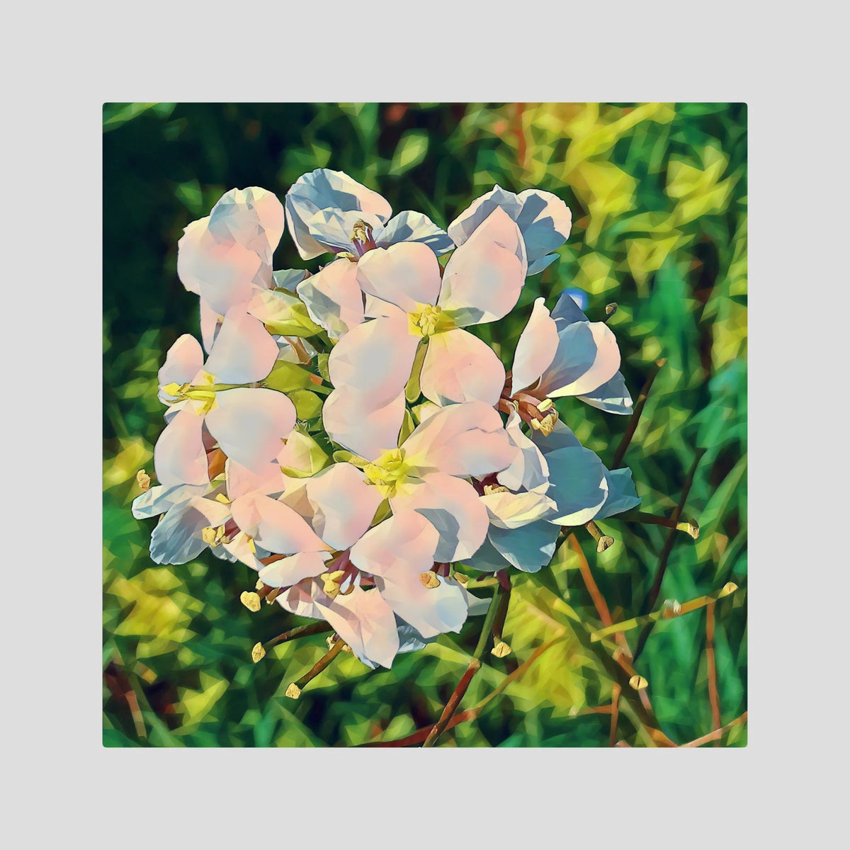 White Blossom | Poly Art