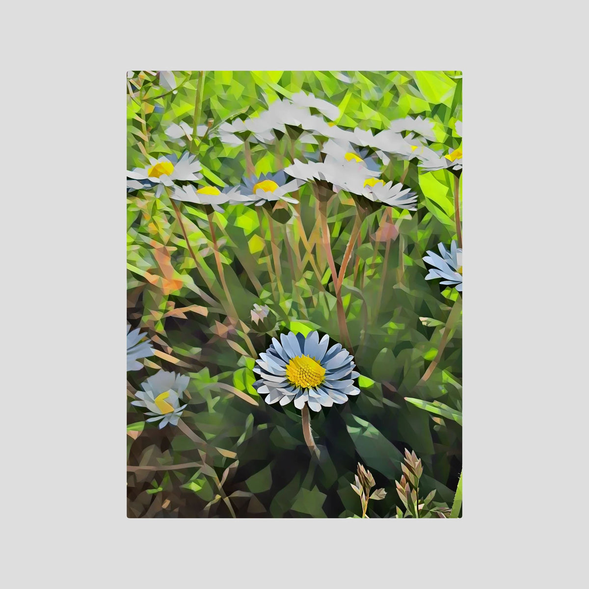 Daisy, Day Light | Poly Art
