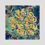 Euphorbia Helioscopia | Poly Art