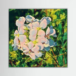 White Blossom | Poly Art