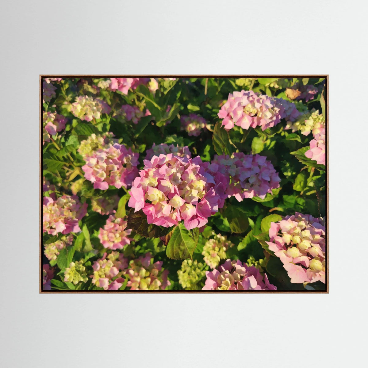 Hydrangea (Pink & Yellow)