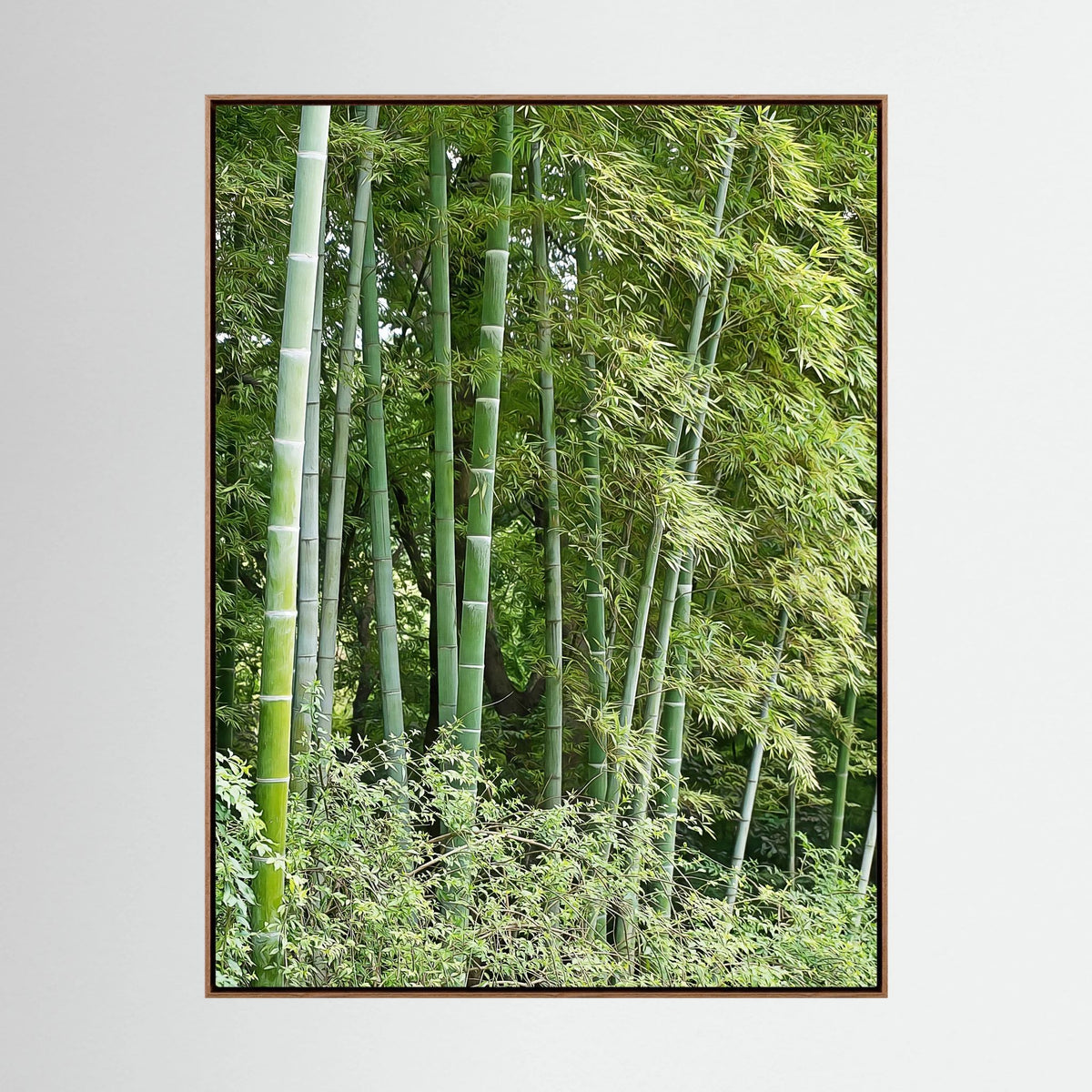 Bamboo, Reverie