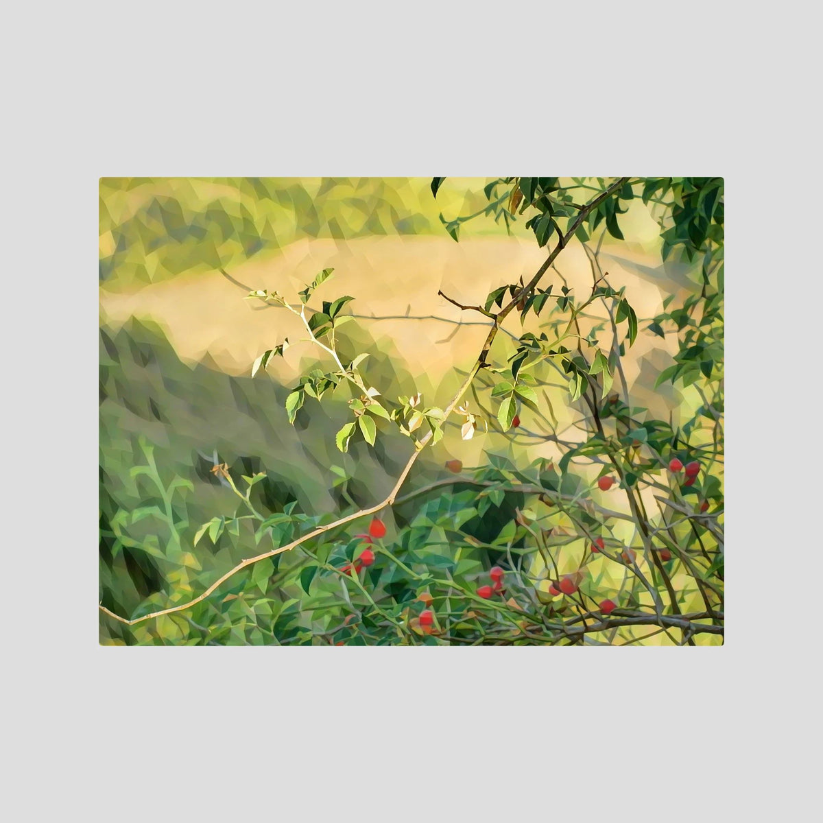 Rosehip | Poly Art