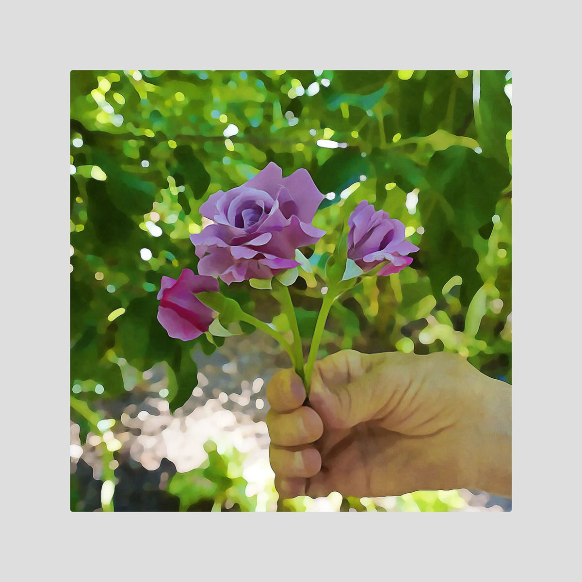 Roses, Small Bouquet