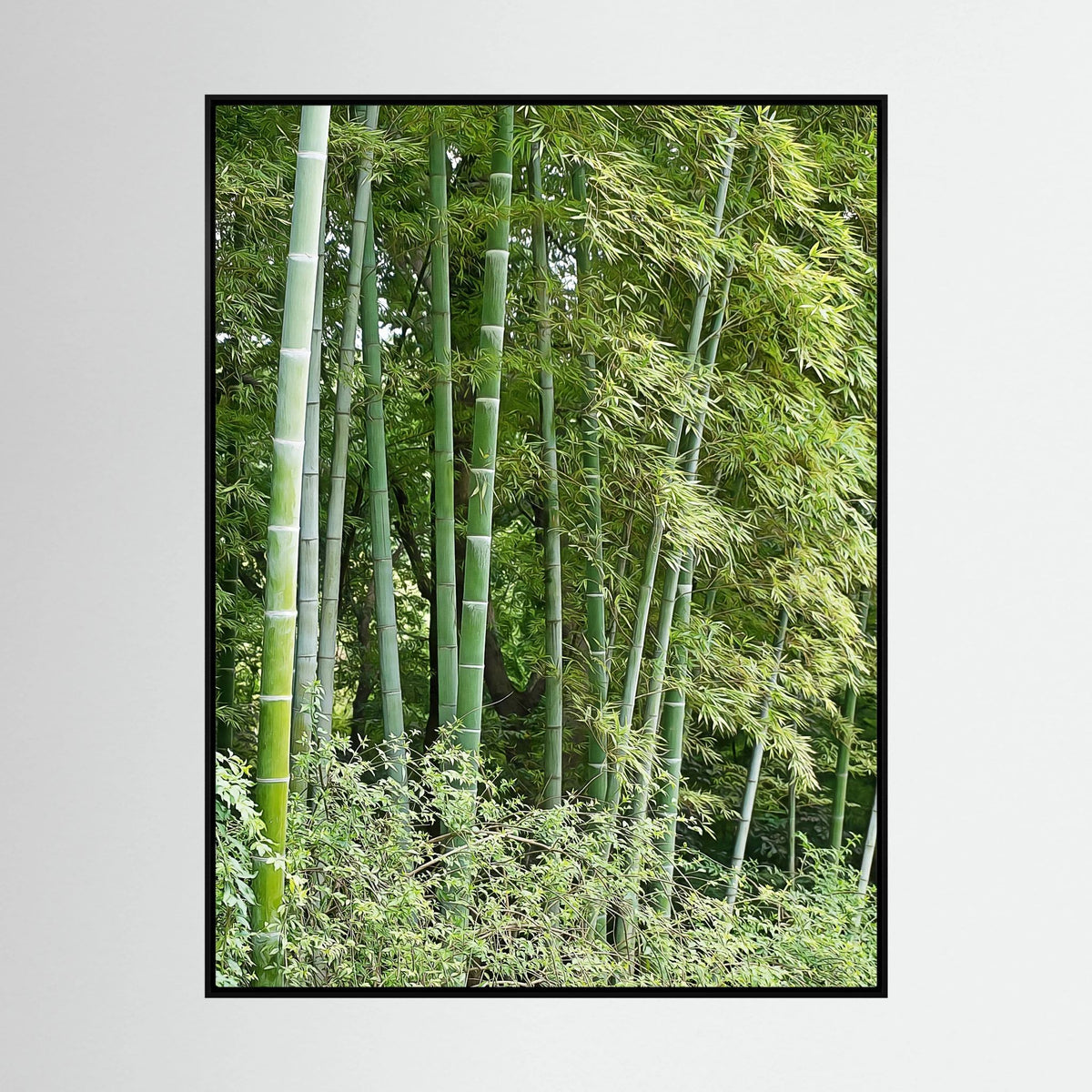 Bamboo, Reverie