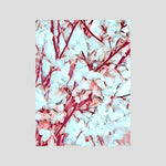 Apple Blossoms, Glacial White | Poly Art