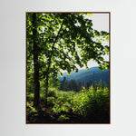 Forest, Whispering Tree
