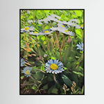 Daisy, Day Light | Poly Art