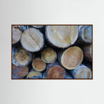Tree Rings, Stories of Time II