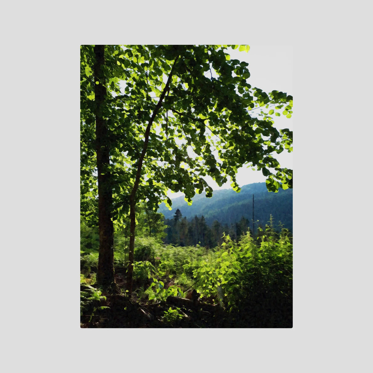 Forest, Whispering Tree