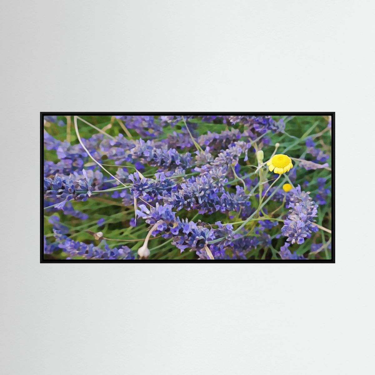 Lavender & Chamomille