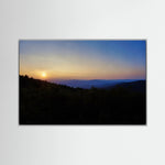 Forest, Sunset Horizon