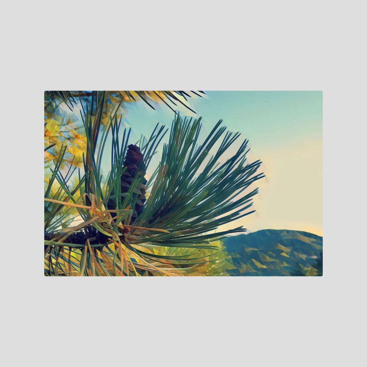 Fir Pinecone | Poly Art