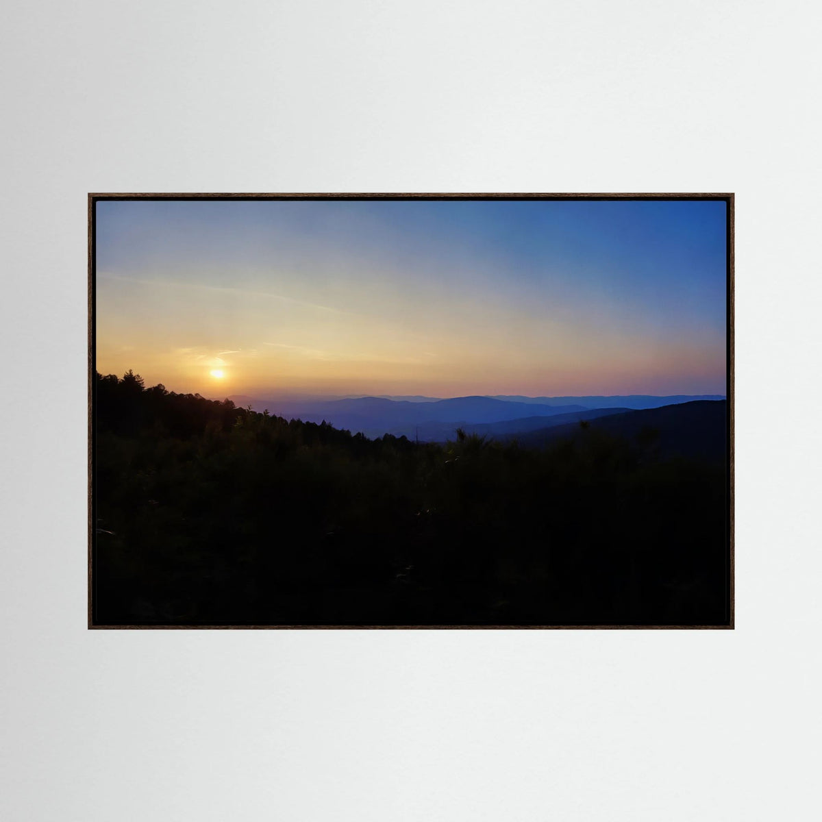 Forest, Sunset Horizon