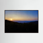 Forest, Sunset Horizon
