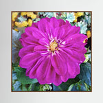 Dahlia, Pink Blossom