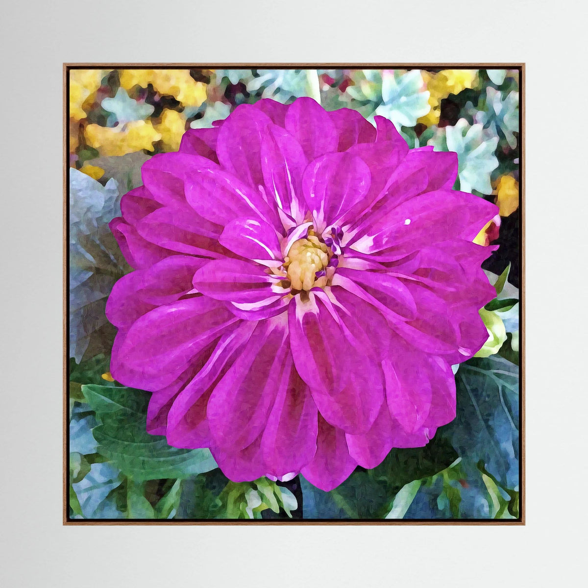 Dahlia, Pink Blossom