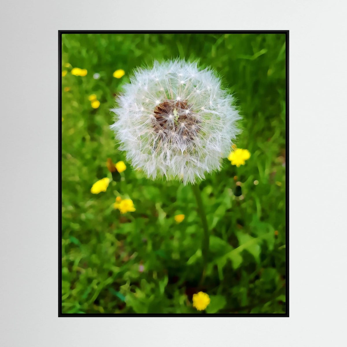 Dandelion & Yellow Whispers