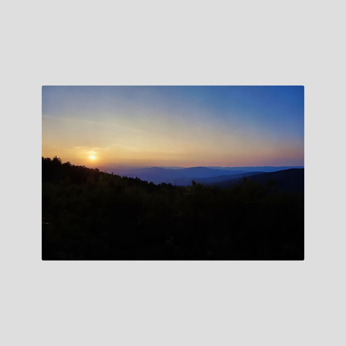 Forest, Sunset Horizon