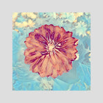 Dahlia, Light Blue | Poly Art