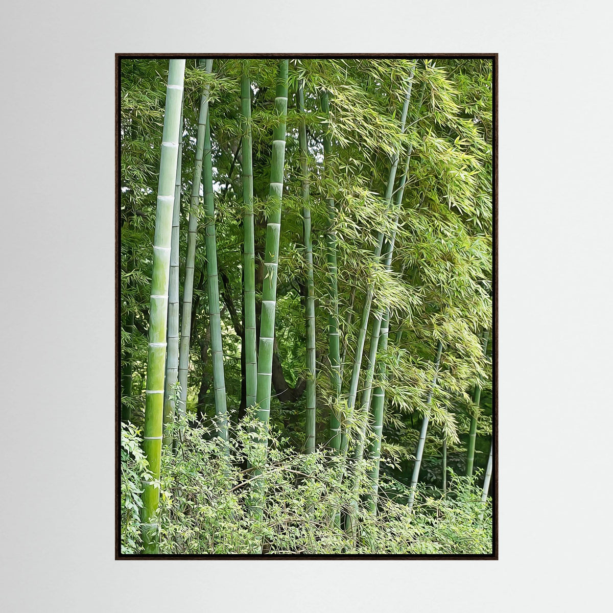 Bamboo, Reverie