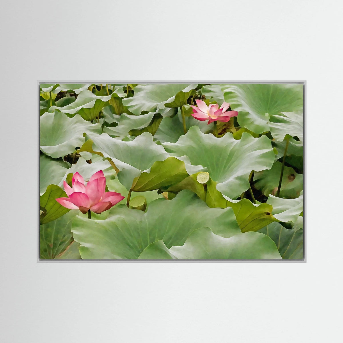 Lotus