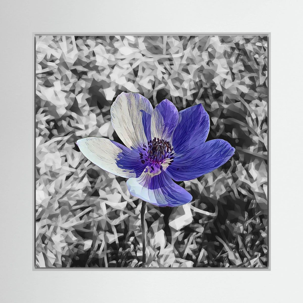 Anemone | Poly Art
