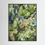 Apple Blossoms, Day Light | Poly Art
