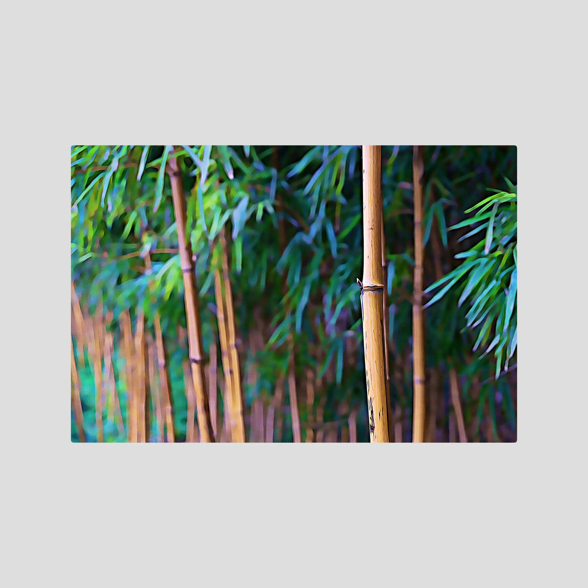 Bamboo, Strength in Grace