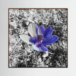 Anemone | Poly Art