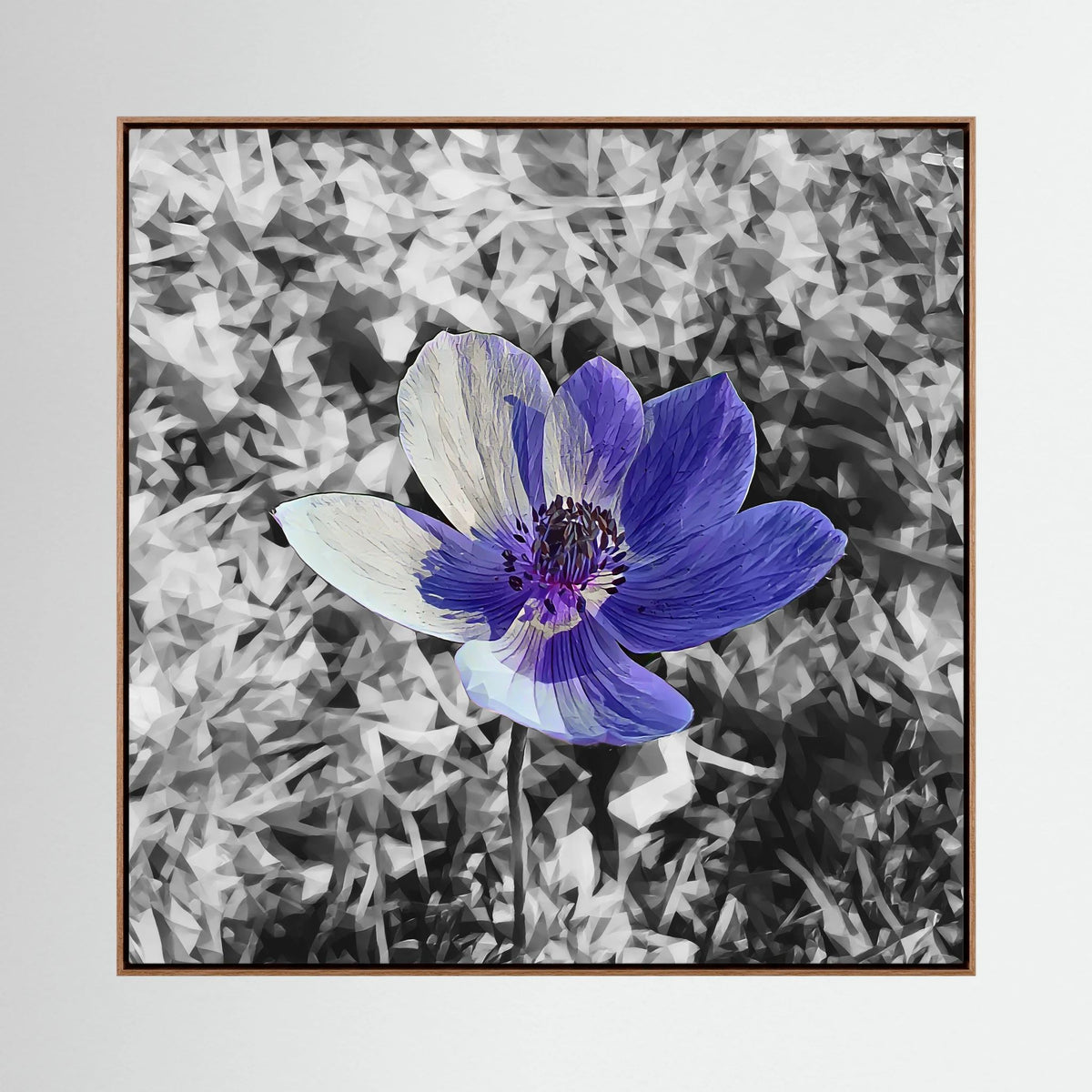 Anemone | Poly Art