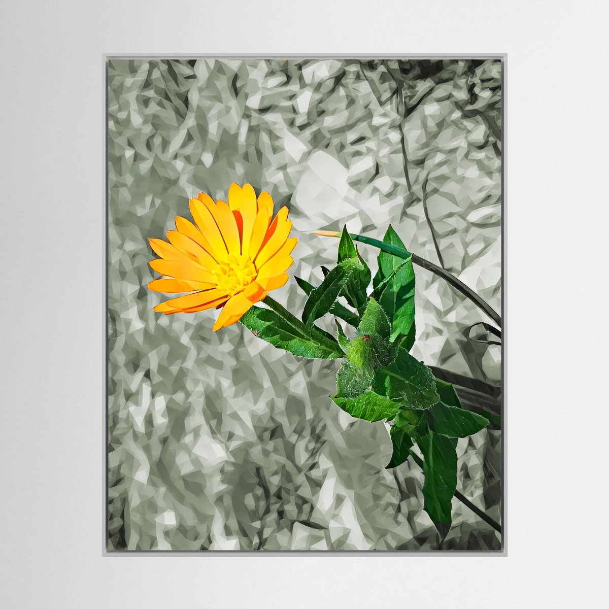 Calendula | Poly Art