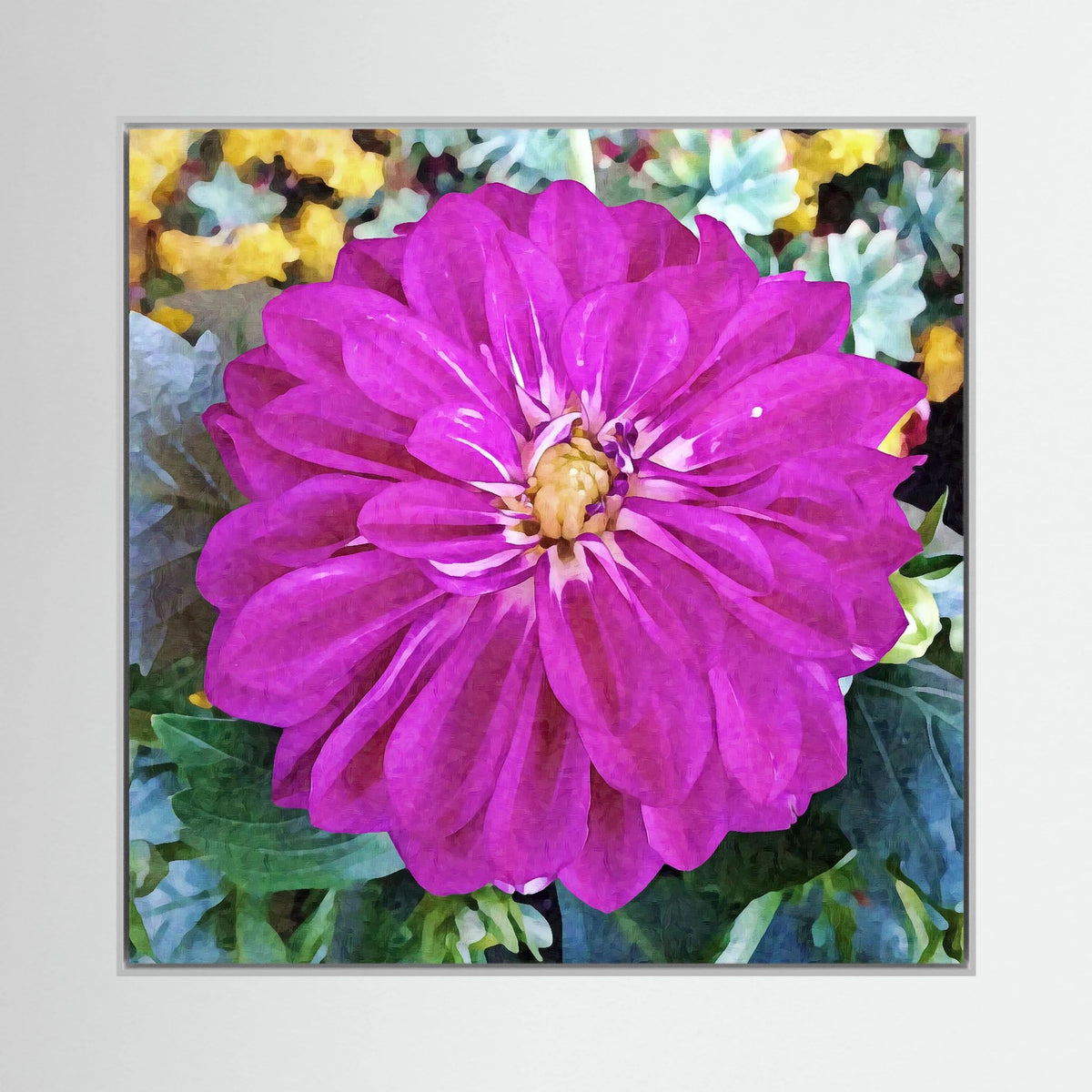 Dahlia, Pink Blossom