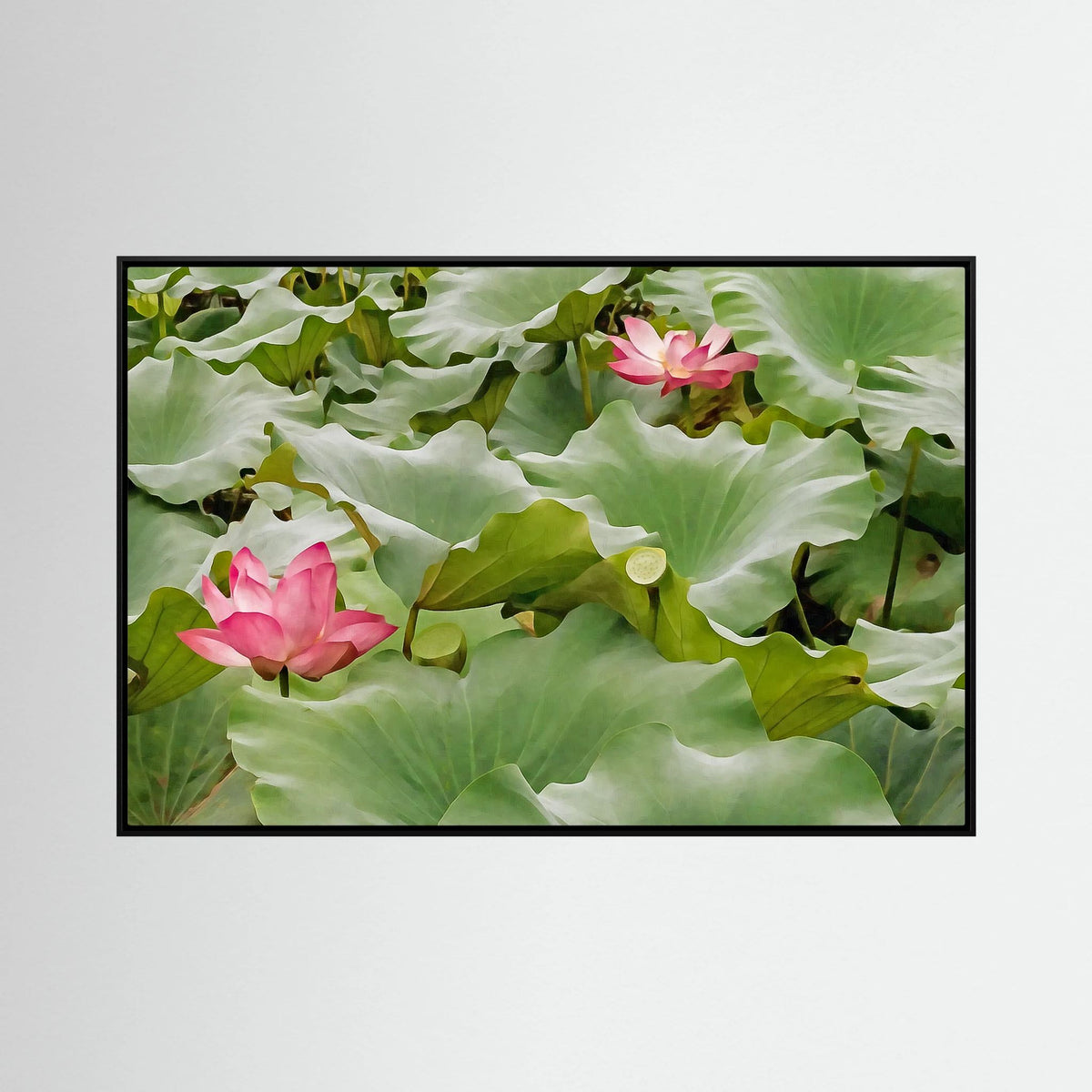 Lotus