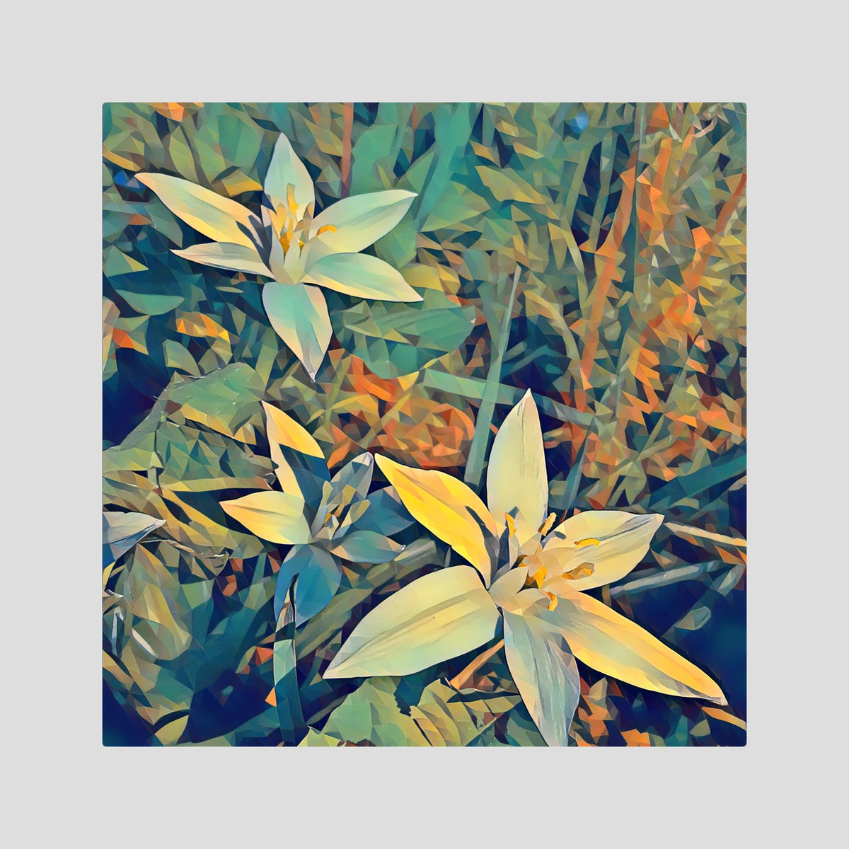 Ornithogalum, Sunset Light | Poly Art