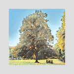 Rooted in Light | Poly Art