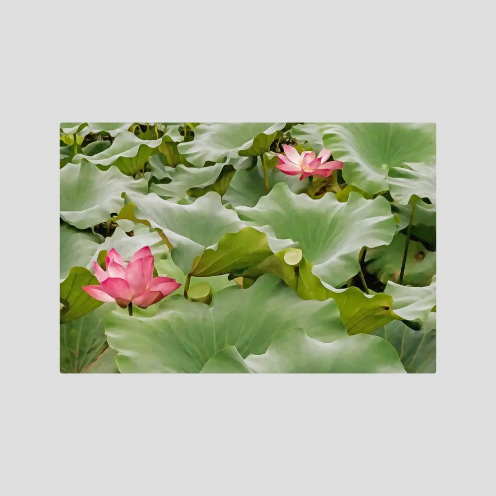 Lotus